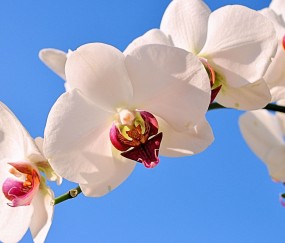 恩施正规助孕捐卵机构，附正规捐卵机构报名表！